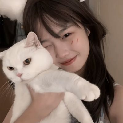 半岛登录网页截图