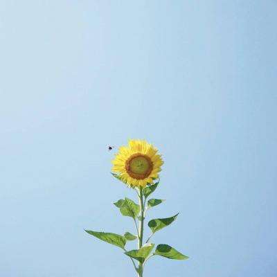 亚博体育(中国)官方网站