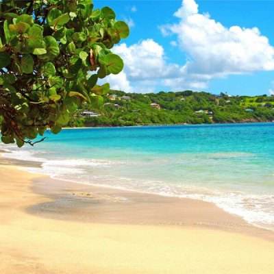 leyu·乐鱼(中国)体育官方网站app下载